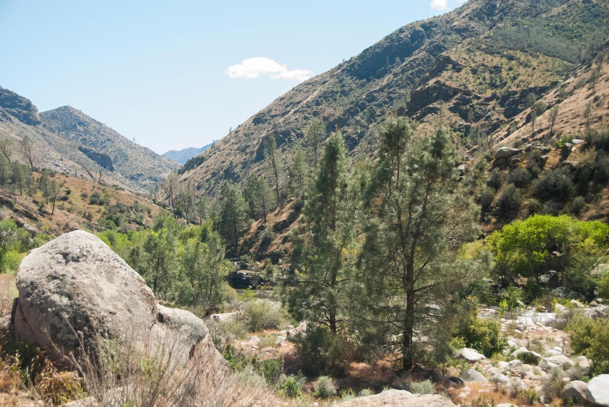 Corral Creek Lodge كيرنفيل المظهر الخارجي الصورة