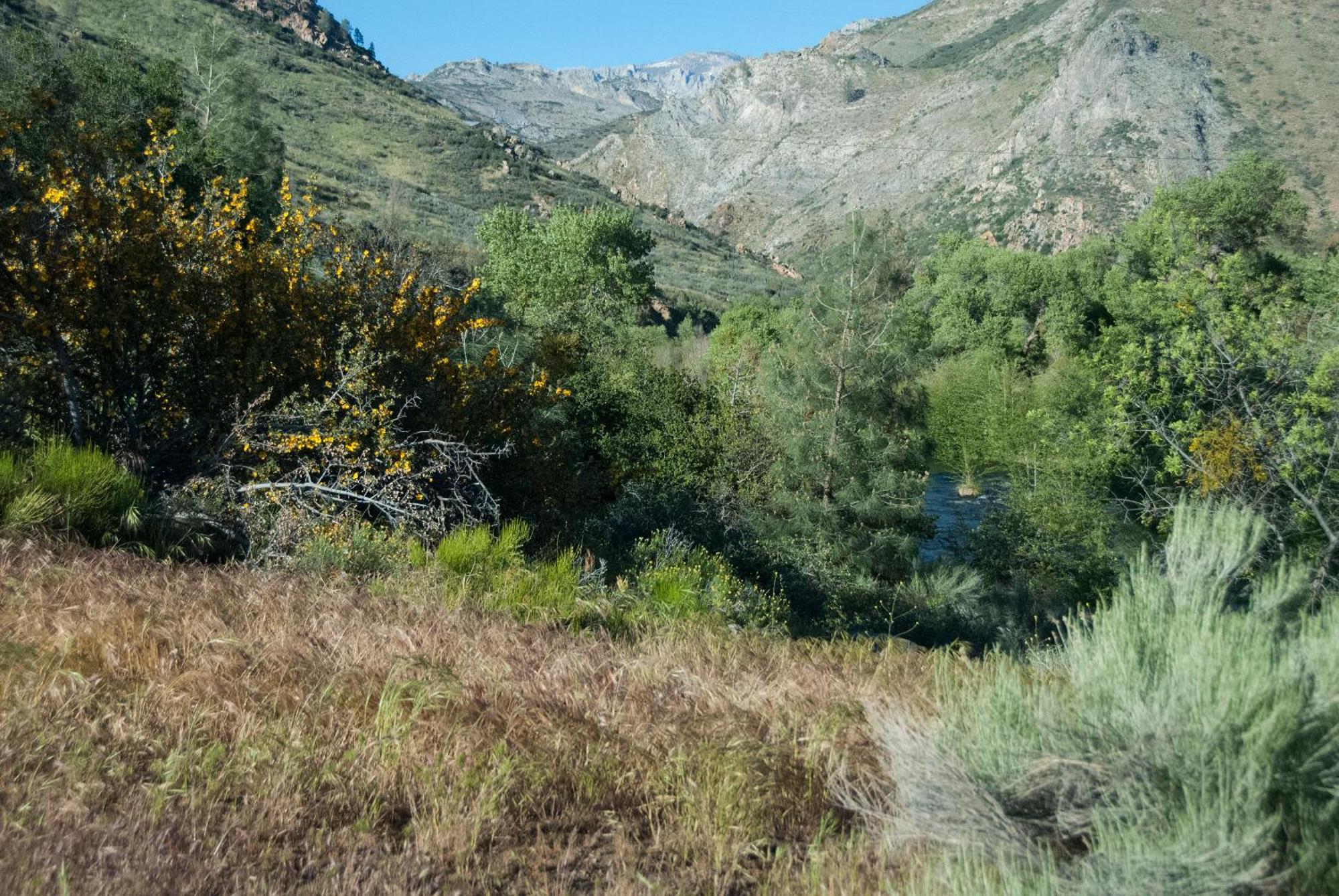Corral Creek Lodge كيرنفيل المظهر الخارجي الصورة